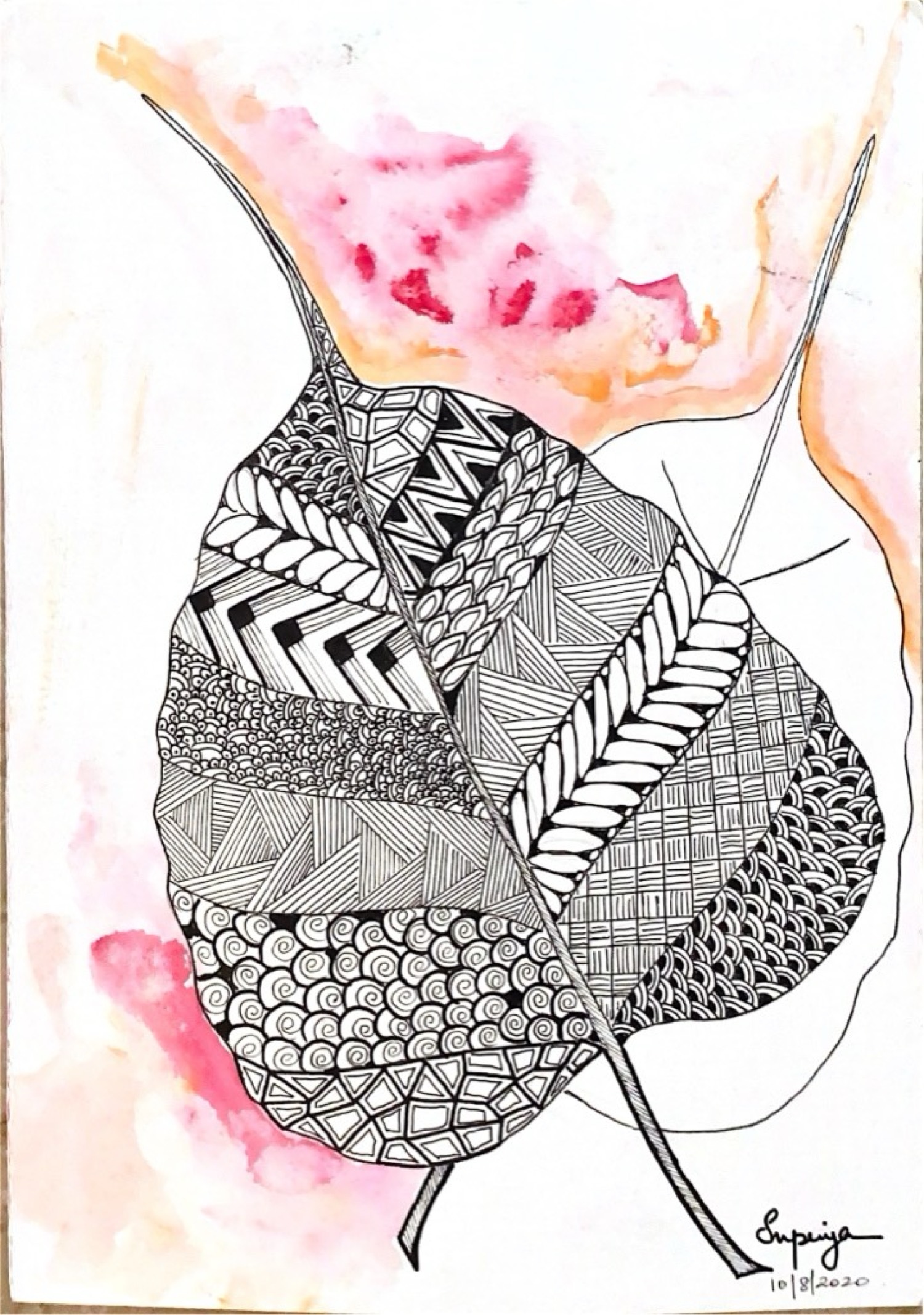 1743663152455_1745475178910_5